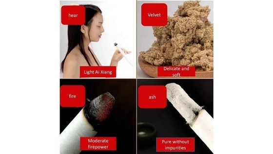 Réanimation avec Ai Tiao Moxibustion chinois sticks médical favorise la circulation sanguine