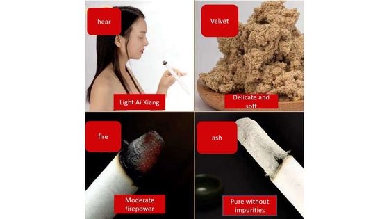 Bâtons de moxibustion efficaces de 20 cm pour la longueur de la maison 1,8 * 20 cm-4 Déshumidifiant et chauffant